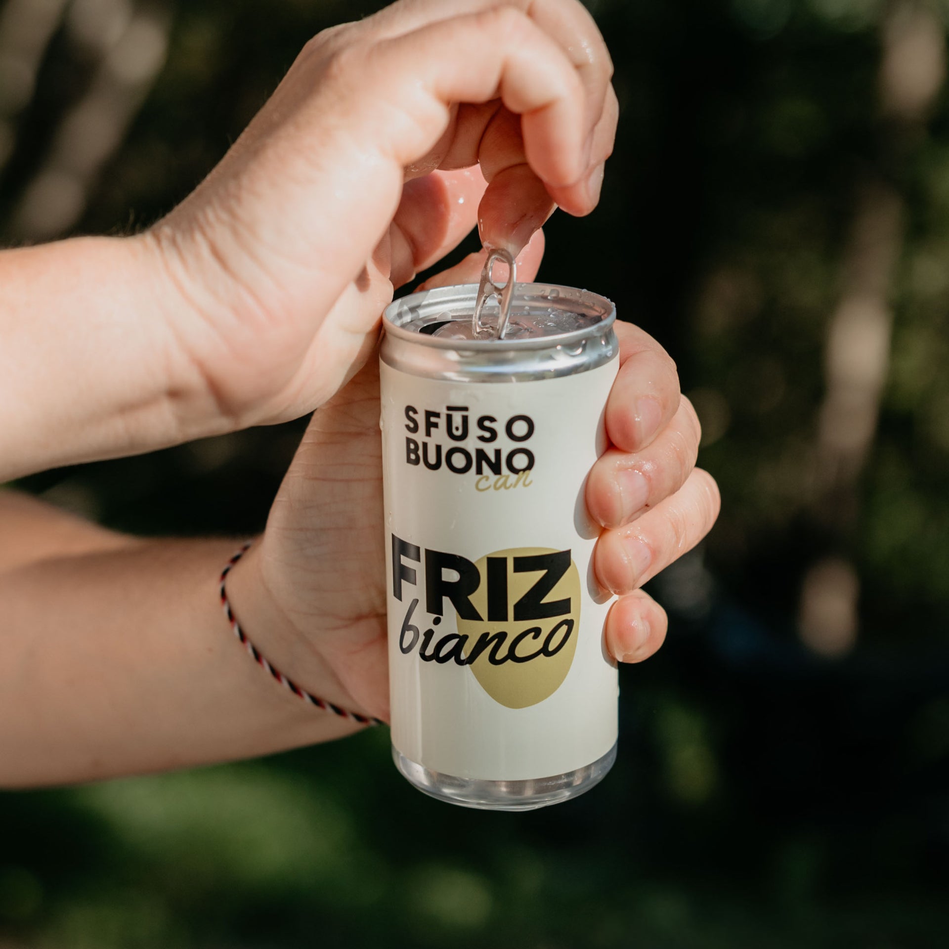 Friz Bianco - Veneto IGT Glera Lattina 200ml