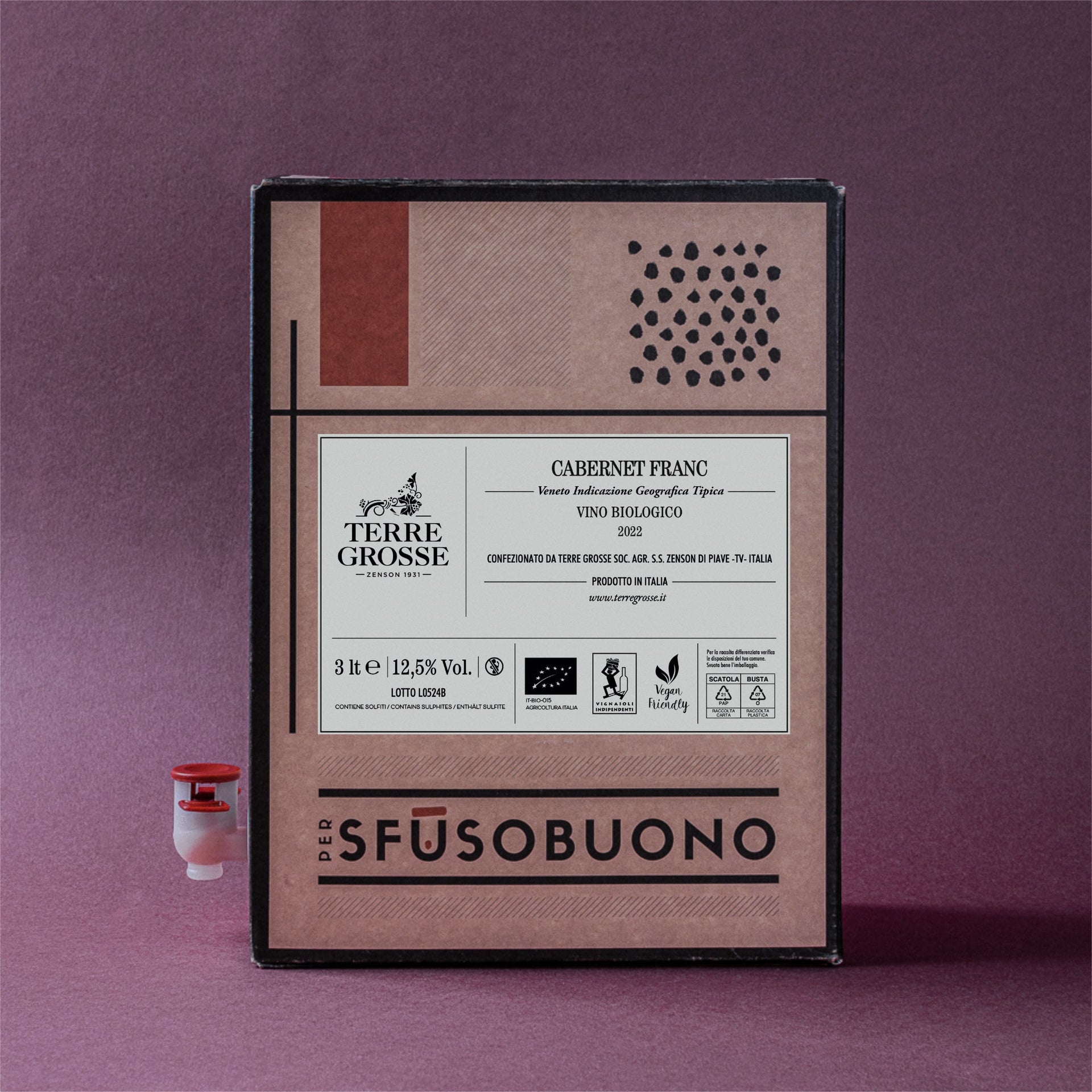Cabernet Franc Veneto IGT Bio 3L - Terre Grosse